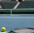 Мирра Андреева покинула тройку лидеров в рейтинге WTA после вылета из US Open - Про Город Пермь