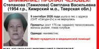 В Кимрском округе пропала 72-летняя дачница - Афанасий-биржа