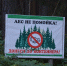 "Чистый лес". - Каргапольский муниципальный округ