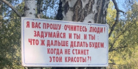 Фото - Централизованная библиотечная система