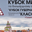 Международный турнир по бильярду «Классик» вновь пройдёт во Владимирской области - Администрация области