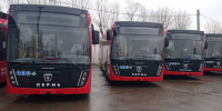 До конца года поставят 43 новых автобуса в 12 территорий Пермского края - Business Class