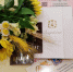 В День Ставропольского края 12 сентября появилось 170 новых семей - Sk-News.Ru