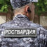 В Москве росгвардейцы задержали пациента, угрожавшего врачу ножом - Комсомольская Правда