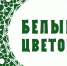 Акция «Белый цветок» в Туле 6 сентября. - Плавский район