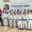 «Кубок Дружбы» - Комитет по физкультуре и спорту