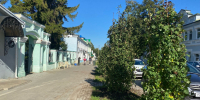 На улице Ленина в Чистополе высаживают деревья и кустарники - Чистополь-информ