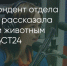 Поделитья во ВКонтакте - Братская Студия Телевидения