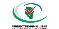 В Дни голосования будет работать колл-центр Общественного штаба по наблюдению за выборами  - Общественная палата РБ