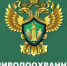 Природоохранная прокуратура информирует - Бугурусланский район