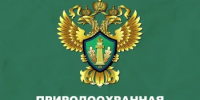 Природоохранная прокуратура информирует - Бугурусланский район