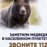 В связи с участившимися случаями появления медведей соблюдайте меры предосторожности - Город Мыски