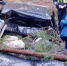 Фото: Агентство ГПС и ГЗ Архангельской области - News29.Ru