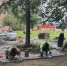 Благоустройство парка - Петрозаводск говорит
