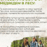 Будьте внимательны и осторожны! - Администрация г. Лесной