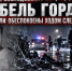 Гибель Гордея: родители обеспокоены ходом следствия - Истра.РФ