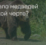 Поделитья во ВКонтакте - Братская Студия Телевидения