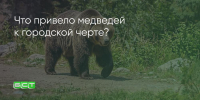 Поделитья во ВКонтакте - Братская Студия Телевидения