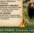 памятка про медведей. - Каратузский район