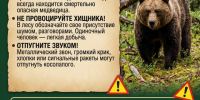 памятка про медведей. - Каратузский район