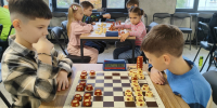 Фото: Федерация таврелей Псковской области - InformPskov.Ru