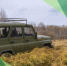 В Аромашевском округе выявили факт незаконной добычи лося - Aromashevo.Online
