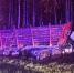 Фото: прокуратура Архангельской области - News29.Ru