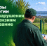 С начала года инспекторы Минэкологии выявили нарушения по 38 лицензиям на пользование недрами - Министерство экологии