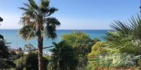 фото: НИА - НИА
