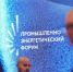 Делегации от более чем тысячи компаний приехали на форум TNF в Тюмень - ИА СИА-Пресс