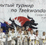 В Заинске прошел Открытый турнир по тхэквондо "Кубок Региона" - Заинский район