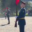 Видео - ТВН