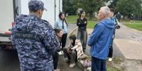 Во Всеволожске росгвардейцы оказали помощь пострадавшему в ДТП школьнику - 47Channel.Ru