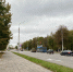 В Орле упавшее дерево разбило «Ладу Гранту» - OrelGrad.Ru
