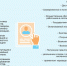 Плюсы официального трудоустройства работника. - Куменский район