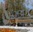 Ковров раскручивает новый гастрономический бренд - щавель - Владимирские Ведомости