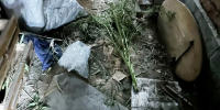 JPG Файл - УМВД Курганской области