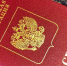 Брянские полицейские поймали 86 нарушителей-мигрантов - БрянскToday.Ru