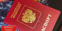 Брянские полицейские поймали 86 нарушителей-мигрантов - БрянскToday.Ru