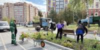 Почти 200 декоративных деревьев и кустарников украсят сквер в костромском Заволжье - Комсомольская Правда