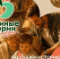 Изображение предоставили в министерстве молодёжной политики Псковской области - InformPskov.Ru