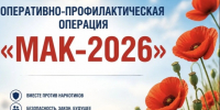 На территории обслуживания МО МВД России «Кировский» стартовал третий этап межведомственной комплексной оперативно-профилактической операции «Мак-2026. - Администрация Кировского района