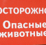 В Архангельске на территории кладбища установили вышку для отслеживания медведя - Tv29.Ru