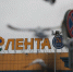 Российская «Лента» начала пользоваться ИИ - ГАZЕТА.СПб