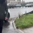 В Ярославле молодого человека задержали за комментарий в мессенджере - YarCube.Ru