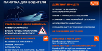 На федеральных дорогах Северо-Запада повышается риск ДТП с участием лосей: у животных начался брачный период - Гатчинская правда