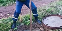 В Йошкар-Оле спасатели помогли собаке - Газета Йошкар-Ола
