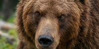Иллюстрация сгенерирована ChatGPT - News29.Ru