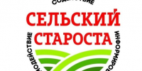 Стартовал приём предложений о выдвижении кандидатур старосты деревни Солзы муниципального округа Архангельской области «Город Северодвинск». - Администрация г. Северодвинска