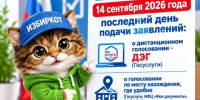 Сегодня — последний день: до полуночи можно подать заявление на онлайн-голосование на выборах в Госдуму - KomiOnline.Ru